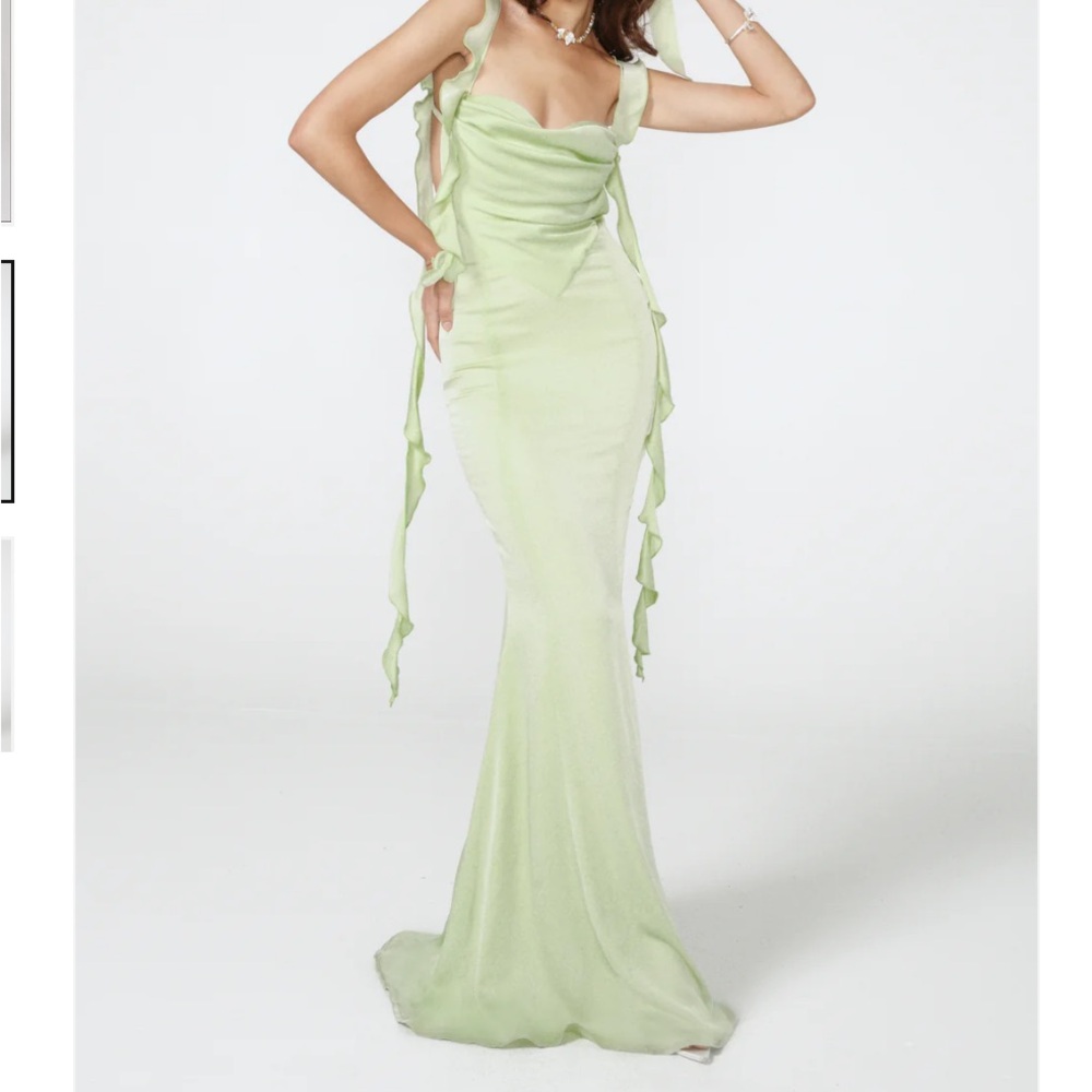 NWT Nana Jacqueline Caroline Dress